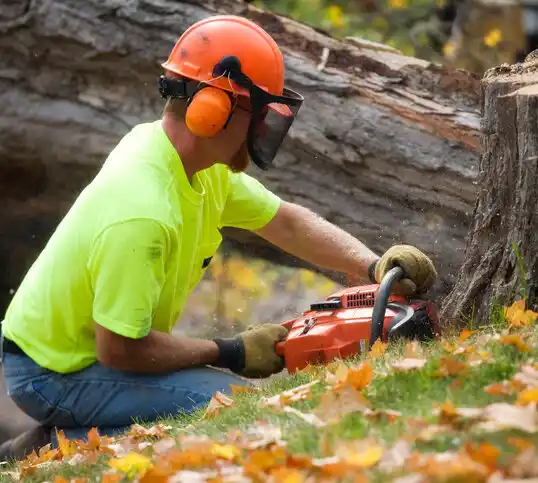 tree services Waynesburg